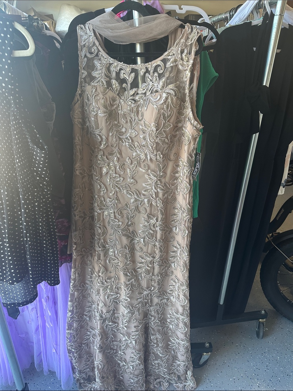 Alex Evenings Embroidered Sleeveless Evening Dress in Champagne NWT